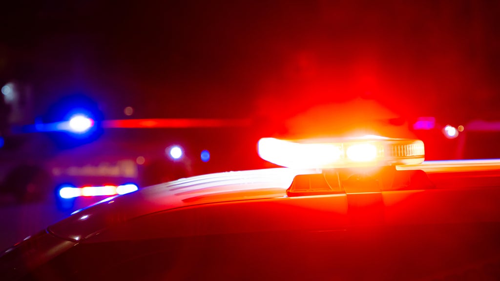 Driver killed in head-on collision with semi in central Minnesota — Bloomington Sports news