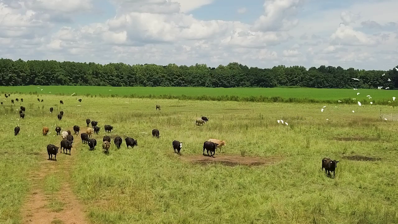 5 ON YOUR SIDE: Regenerative agriculture — Bloomington Health news